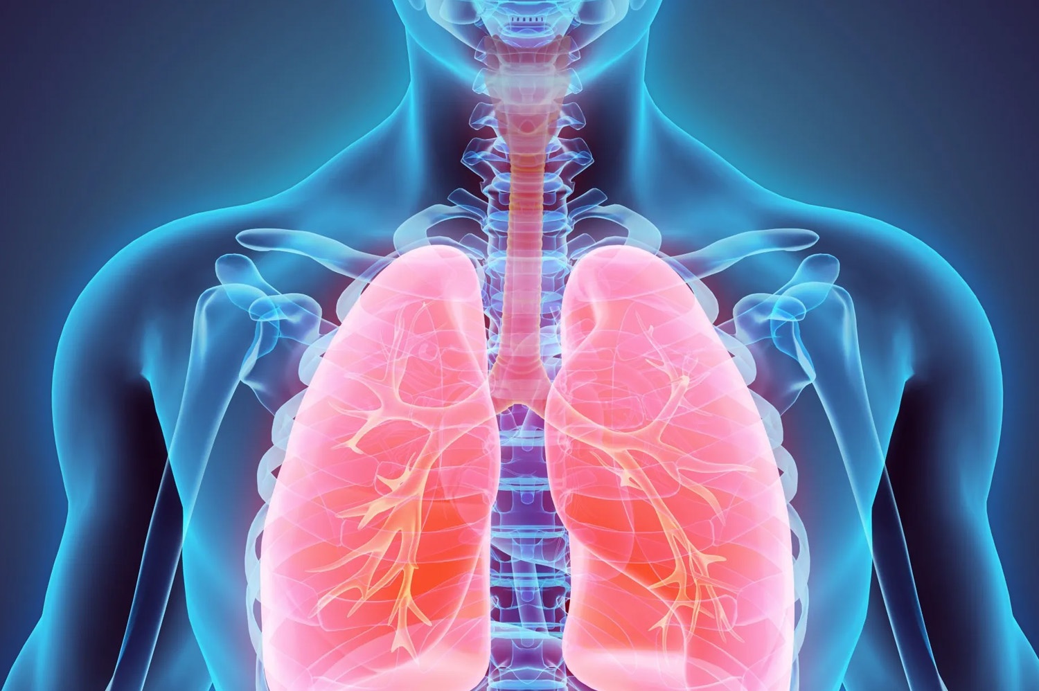 Tratamento para fibrose pulmonar idiopática: antifibróticos