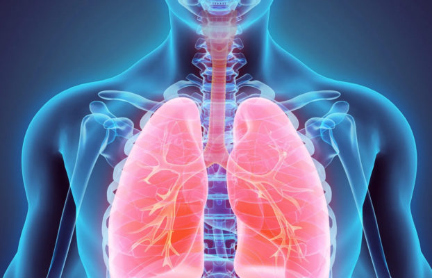 Tratamento para fibrose pulmonar idiopática: antifibróticos